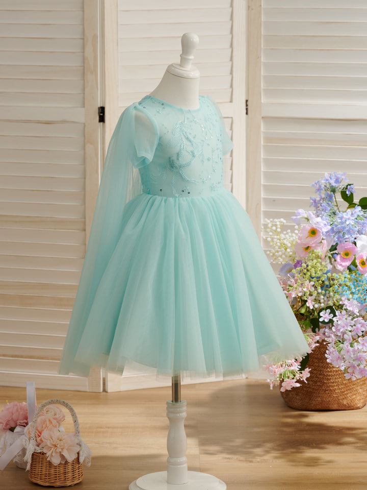 Ball-Gown/Princess Tulle Knee-length 1st Birthday Party Baby Girl Dress