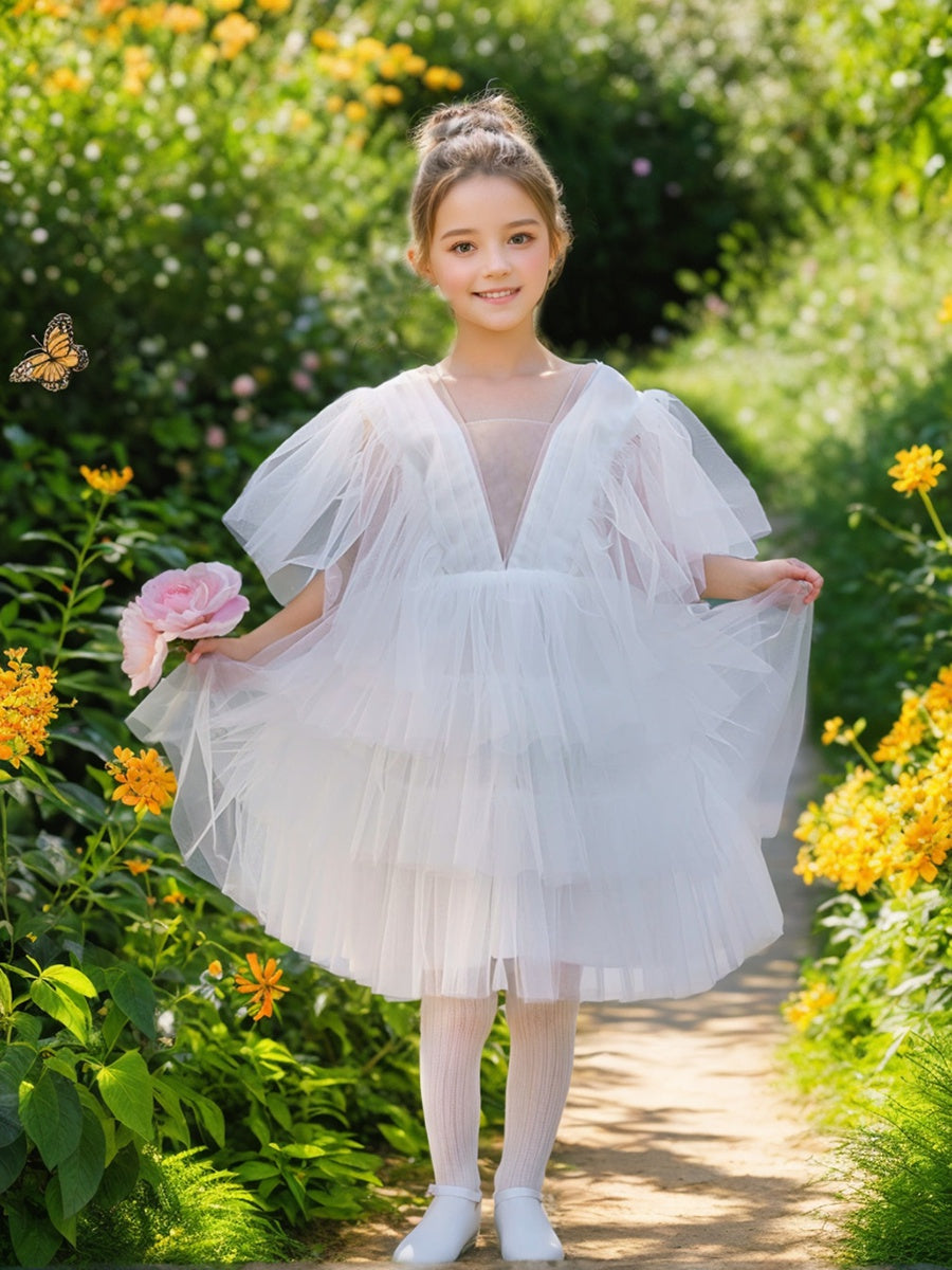 Enchanted Garden Fairy Elegant Tulle Toddler Flower Girl Dress, 6M / White