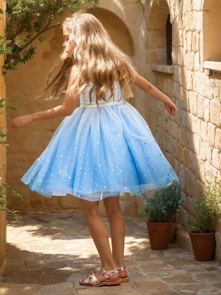 Ball-Gown/Princess Tulle Knee-length Blue Flower Girl Dress