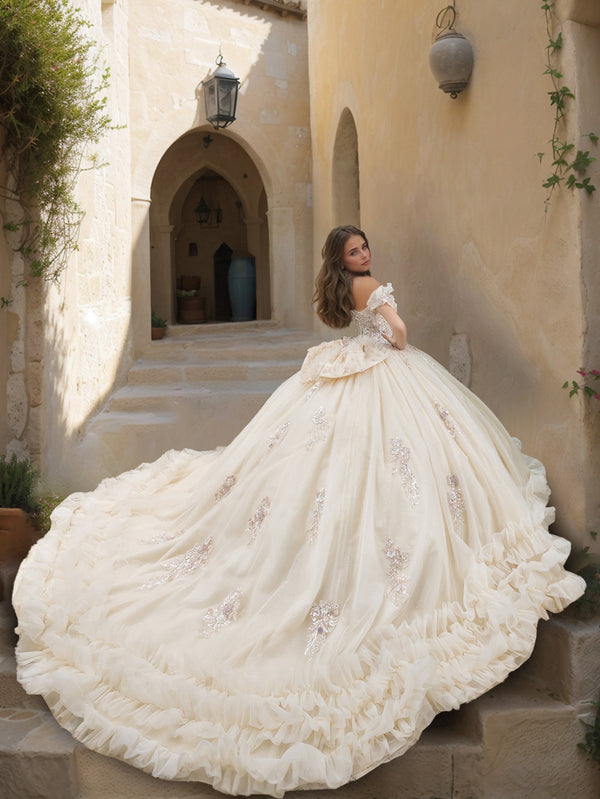 Ball Gown Sweetheart Sleeveless Floor-length Tulle Long Prom Dresses with Lace Appliques