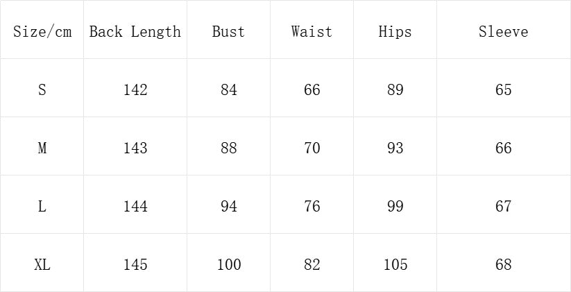 Sheath/Column Medieval Vintage Long Sleeves Split Side Dark Gothic Dresses