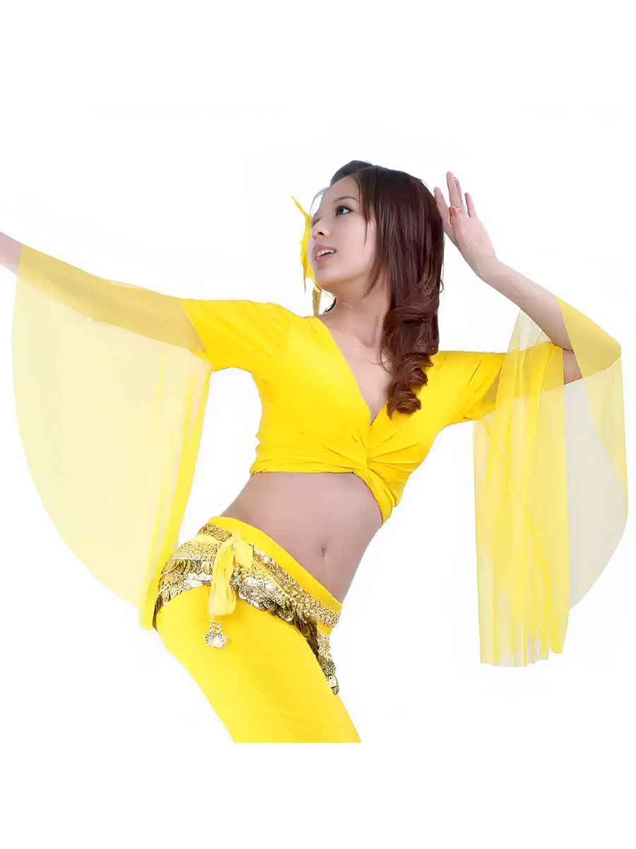 Belly Dance Indian Long Sleeve Tulle Ruched Short Top Performance Costume