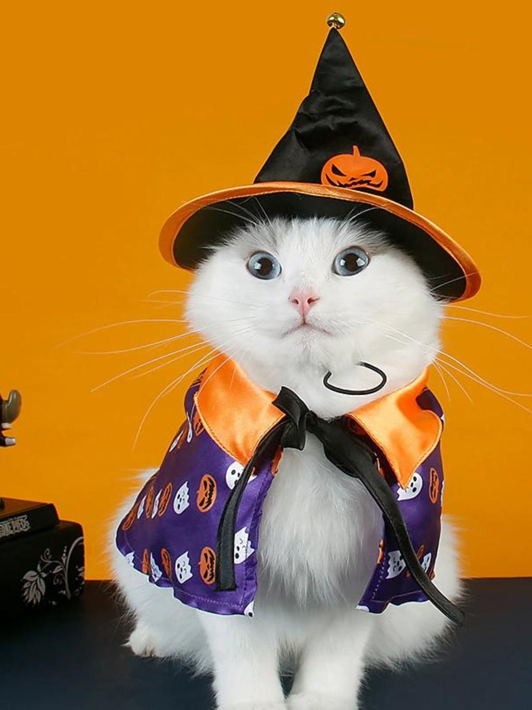 Halloween Pet Witch Hat Pumpkin Cloak Costume Set