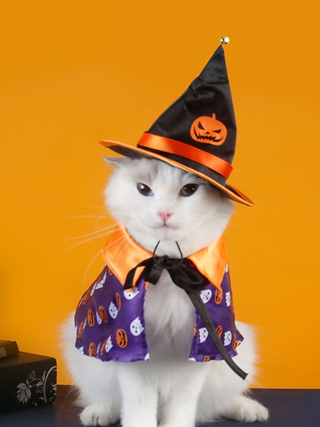 Halloween Pet Witch Hat Pumpkin Cloak Costume Set