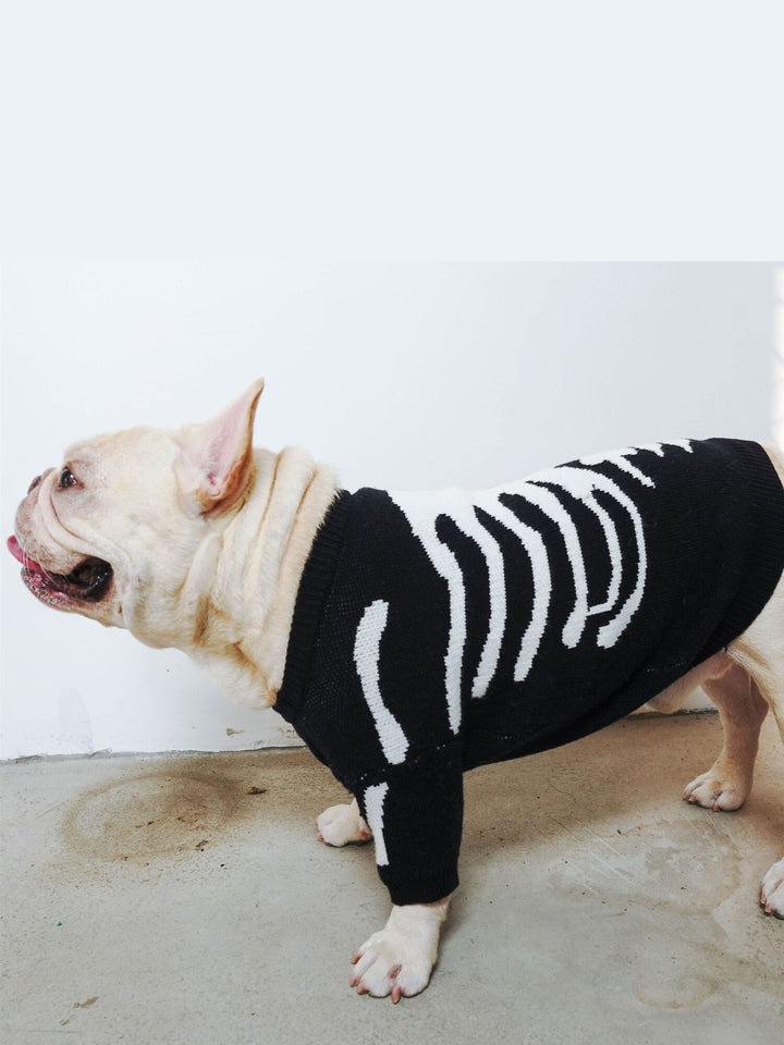 Warm Skull Sweater Halloween Winter Pet Trendy Pullover