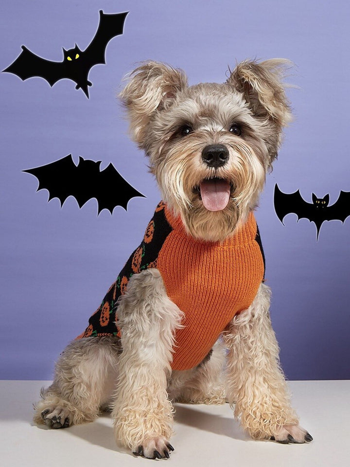 Halloween Cute Knitted Pet Sweather Funny Costumes