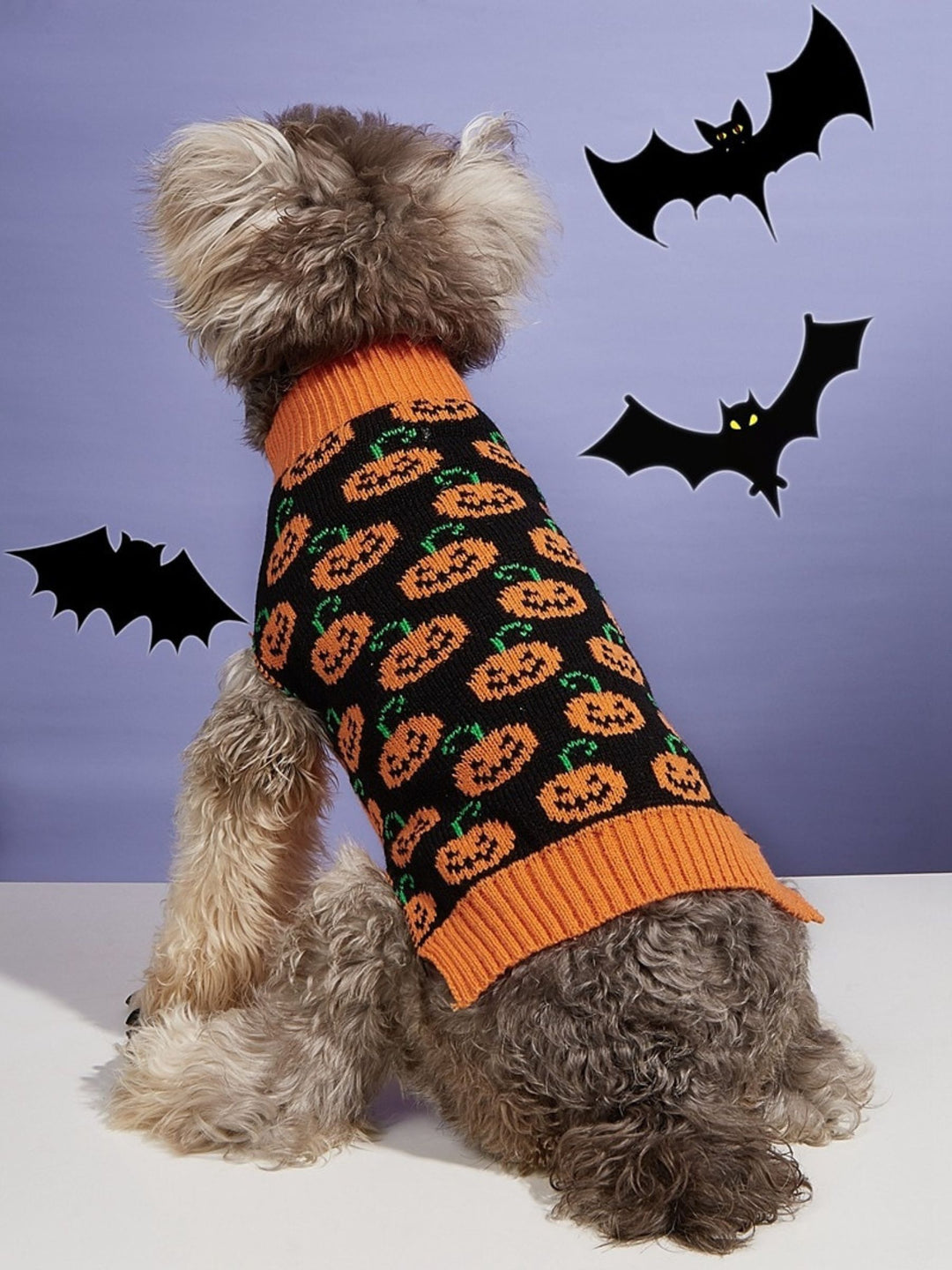 Halloween Cute Knitted Pet Sweather Funny Costumes