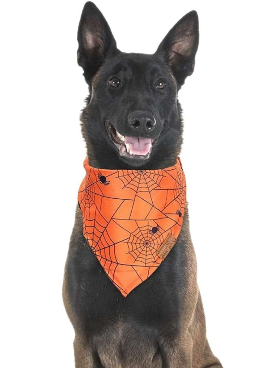 Halloween Cute Funny Soft Pet Bandana Decoration Costume