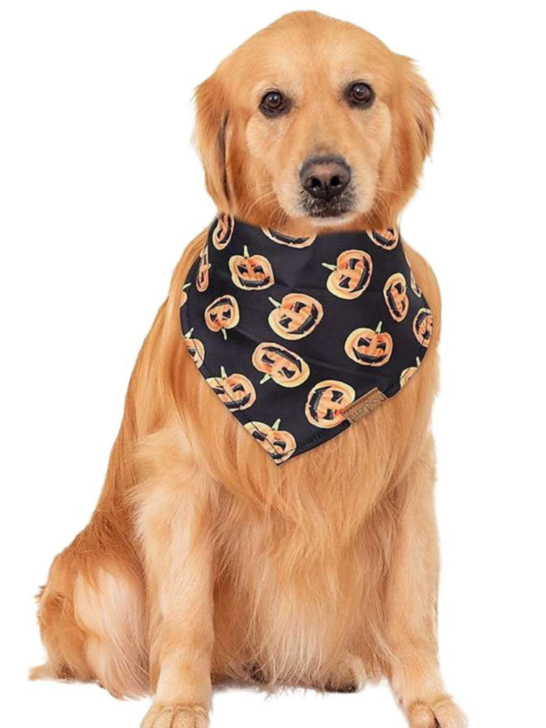 Halloween Cute Funny Soft Pet Bandana Decoration Costume