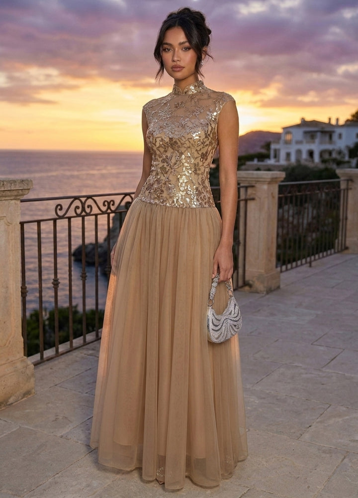 A-Line/Princess Mock Neck Evening Dresses Tulle Floor-Length Sequins Sleeveless Formal Dresses