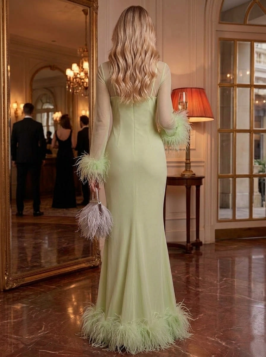 Sheath/Column Mock Neck Organza Formal Dresses Floor-Length Long Sleeves Evening Dresses With Feathers