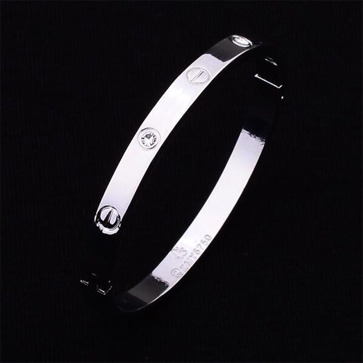 Ladies' Classic Stainless Steel Bracelet Women's Bracelet