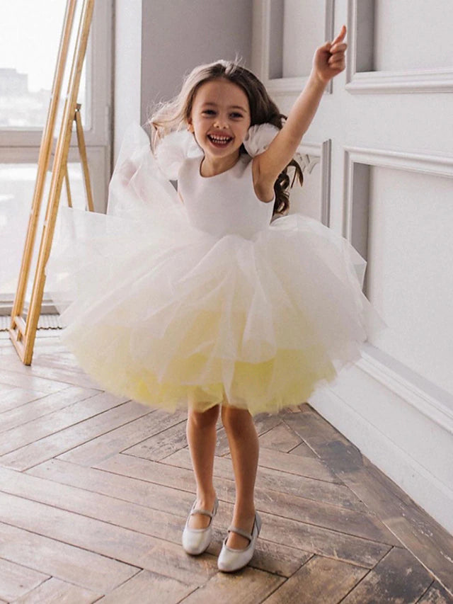 Ball Gown Ombre Tulle Flower Girl Dresses with Ruffles