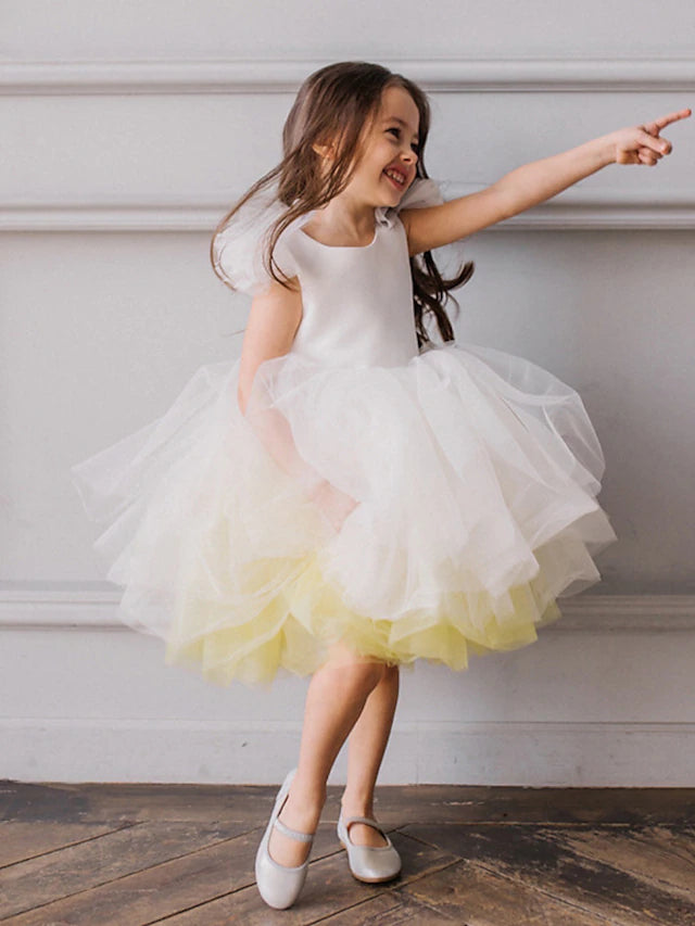 Ball Gown Ombre Tulle Flower Girl Dresses with Ruffles